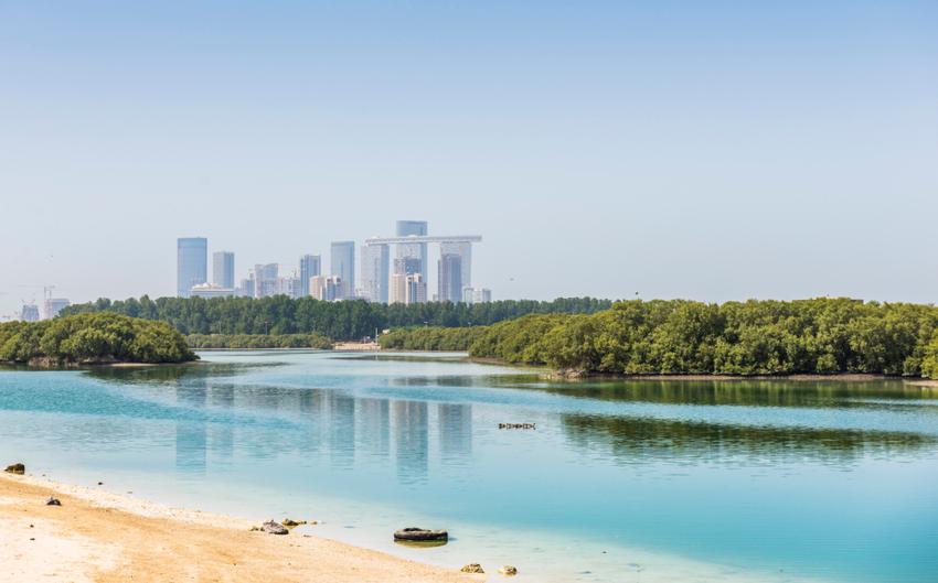 Национальный мангровый парк в Абу-Даби