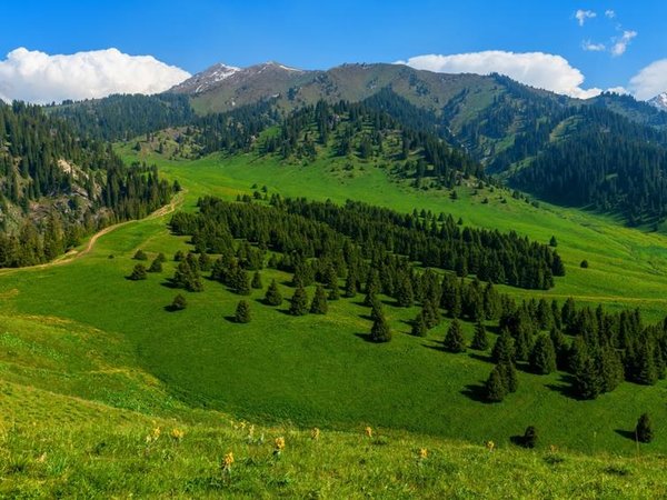 Урочище Кок-Жайляу - Алматы