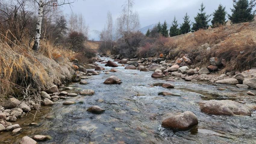 Форелевое хозяйство в Алматы - фото