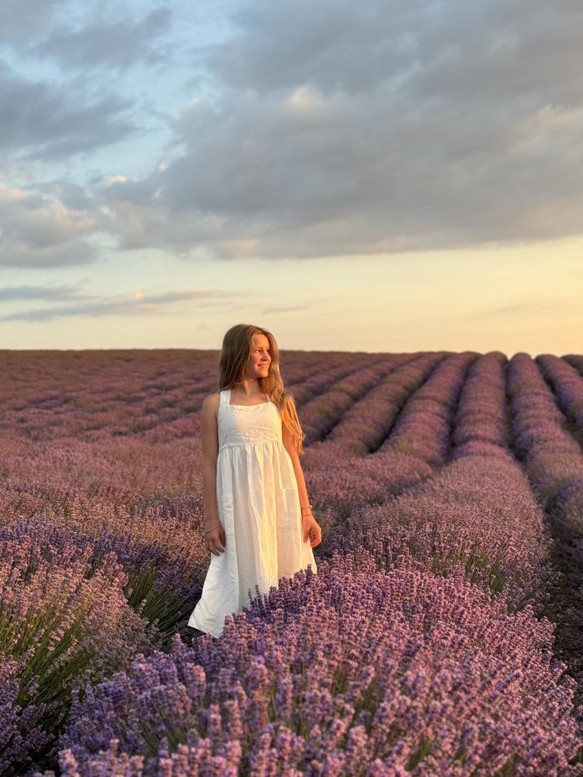 Достопримечательность Профессорский уголок фото - Алушта