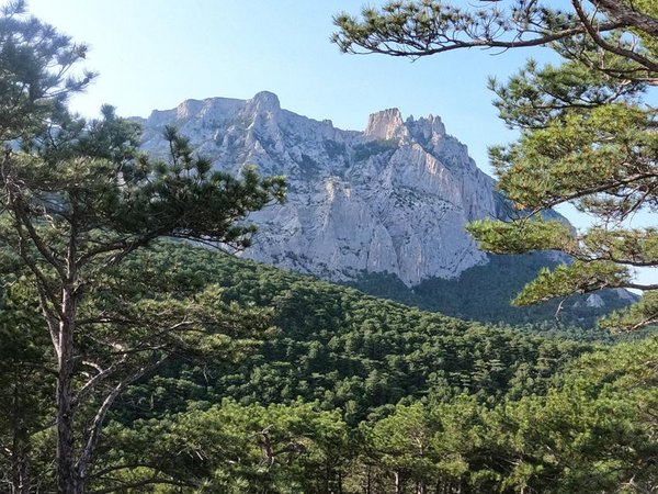 Воронцовский дворец - Алушта
