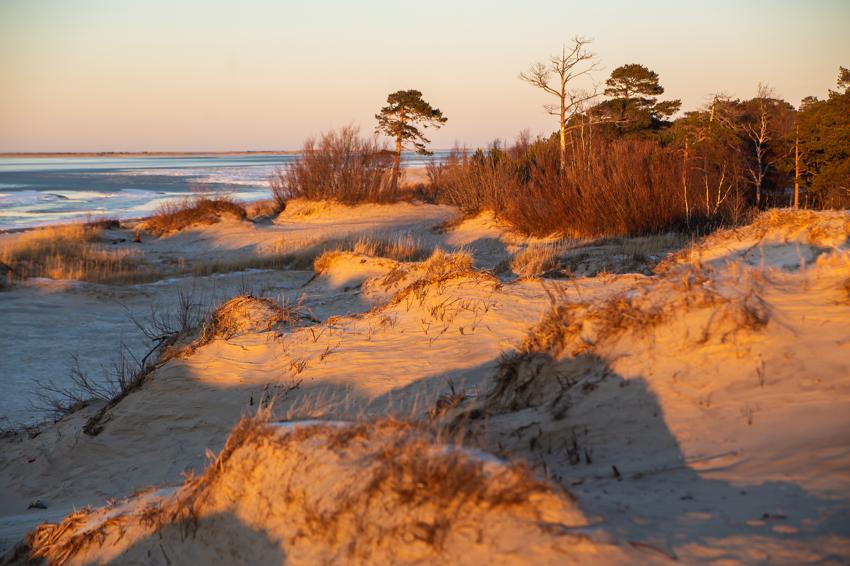 Архангельский театр драмы имени Ломоносова