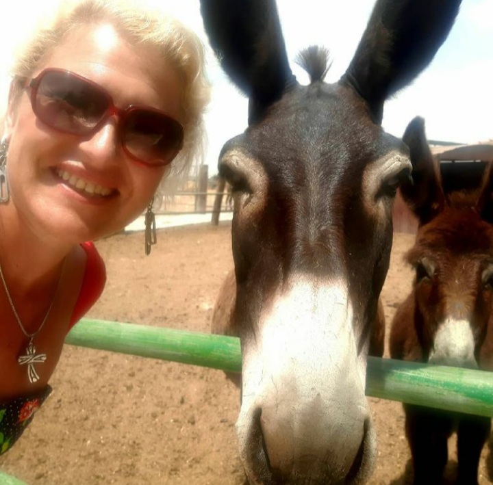 Достопримечательность Монастырь Айя-Напы фото - Айя Напа