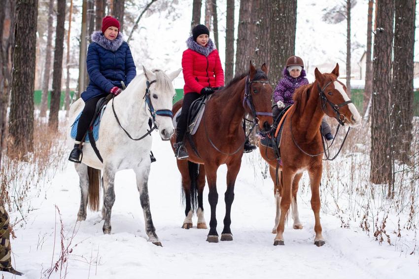 Достопримечательность Покровская гора фото - Брянск