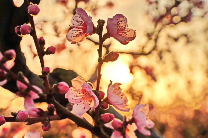 Достопримечательность Успенский пещерный монастырь фото - Бахчисарай