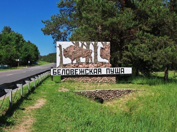 Музей природы Беловежской пущи - Брест