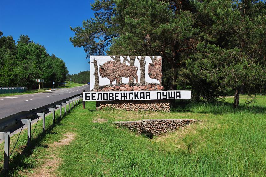 Музей железнодорожной техники в Бресте - фото