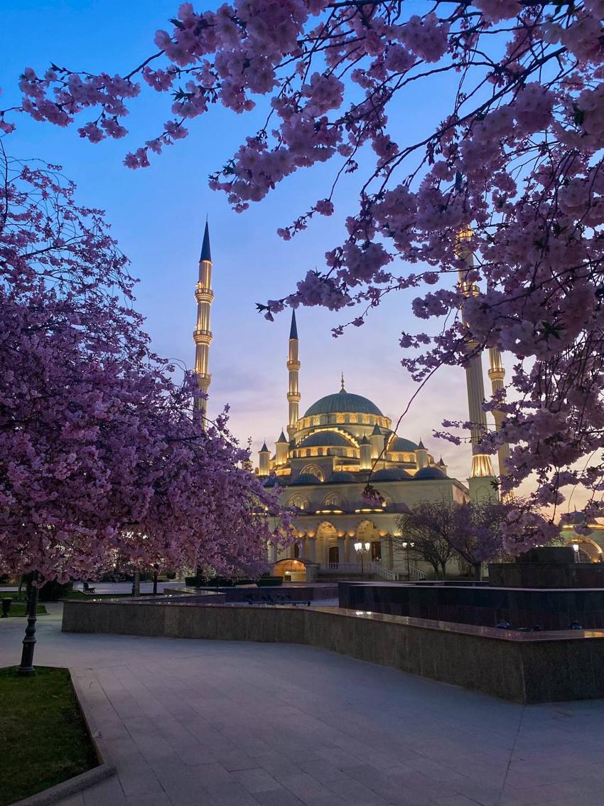 Старый город Ведучи в Грозном - фото