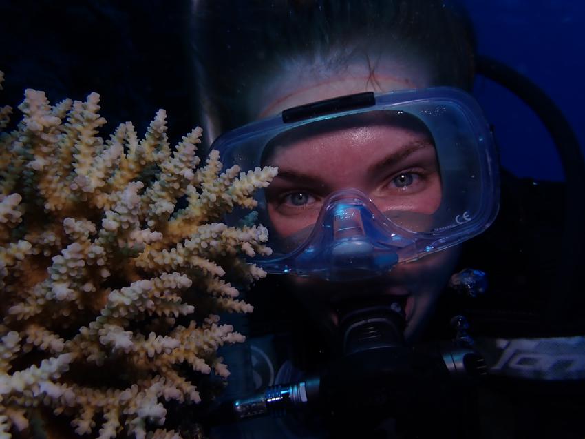 Мечеть Эль-Мина