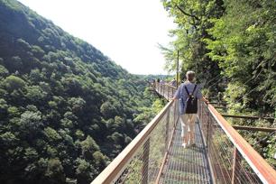 Белый мост - 3 экскурсии