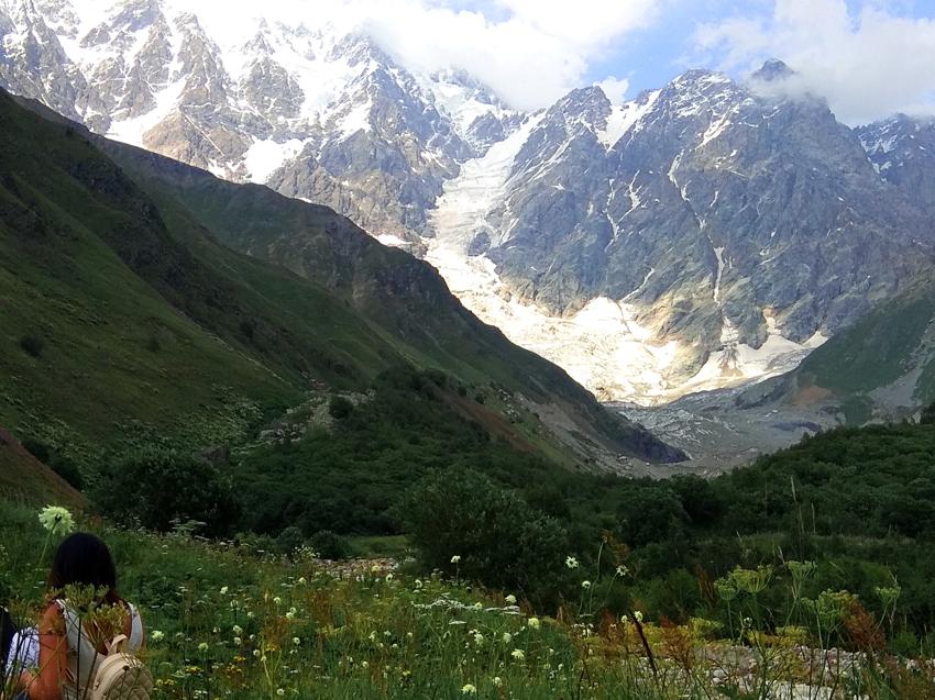 Ботанический сад