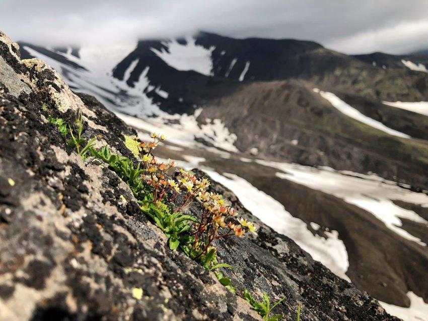 Голубые озёра - Камчатка