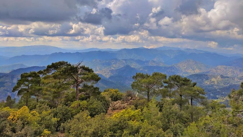 Гора Троодос