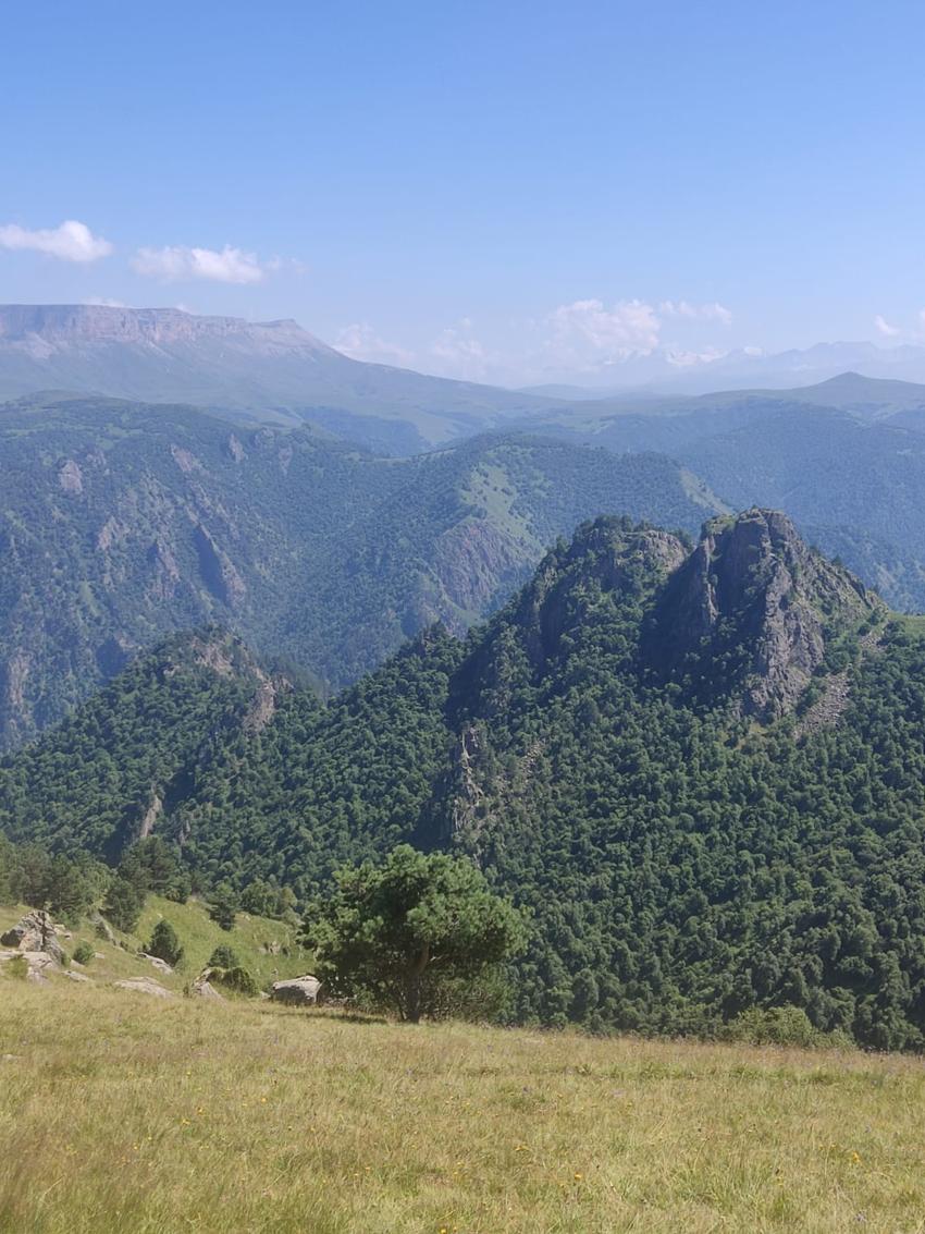 Кафедральный собор Марии Магдалины - Нальчик