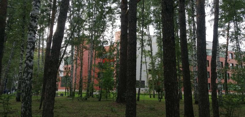 Достопримечательность Новосибирский планетарий фото - Новосибирск