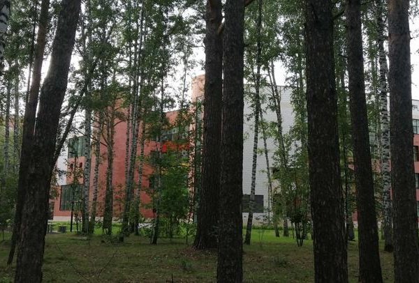 Новосибирский планетарий - Новосибирск