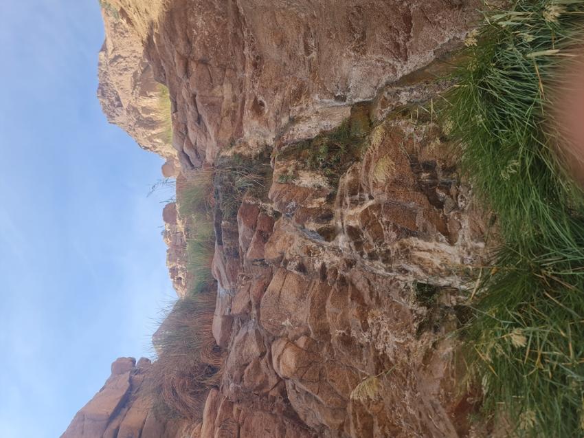 Достопримечательность Оазис Айн-Худра фото - Шарм-эль-Шейх