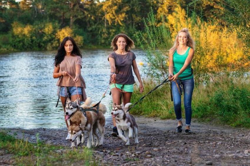 Достопримечательность Озеро Верхний Улус фото - Шерегеш