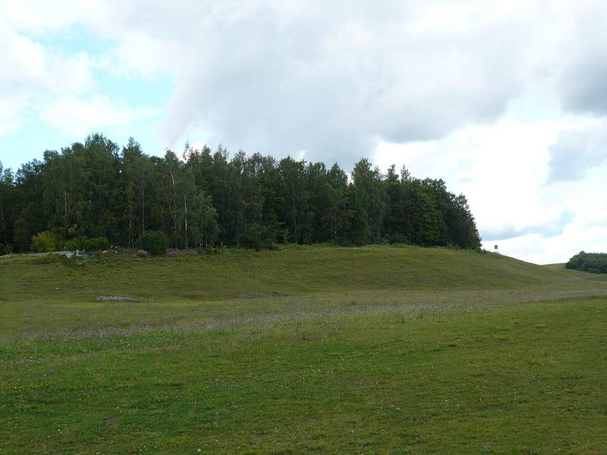 Достопримечательность Труворово городище фото - Изборск