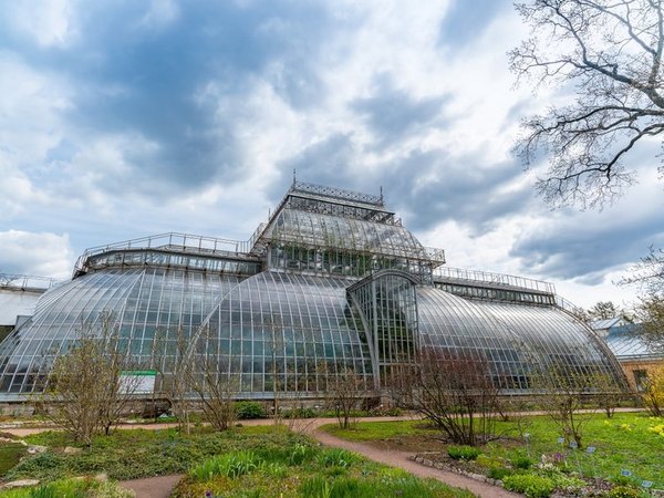 Ботанический сад Петра Великого - Санкт-Петербург